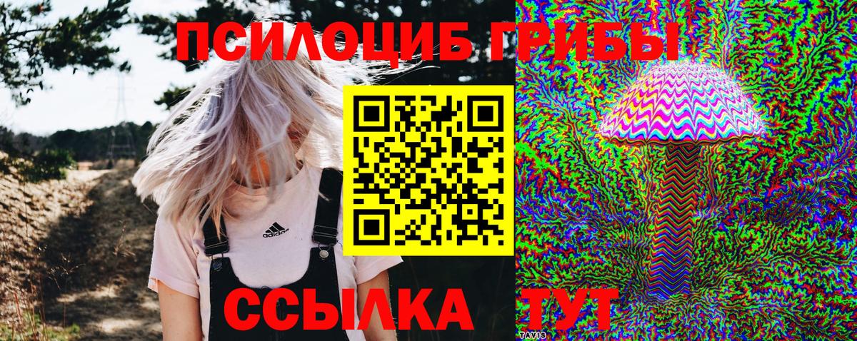 Галлюциногенные грибы GOLDEN TEACHER Аргун